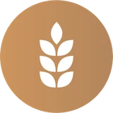 Victory Senior Adults badge